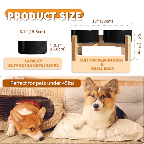 Elevated Ceramic Dog Bowl (Black / Medium)