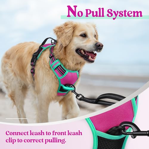 Dog Harness No Pull for Small Dogs with 2 Leash Clips (Small / Hot Pink & Turquoise)