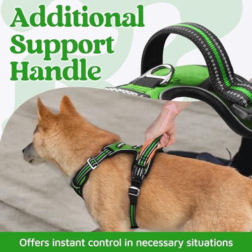 Dog Harness for Large (Green / X-Large)