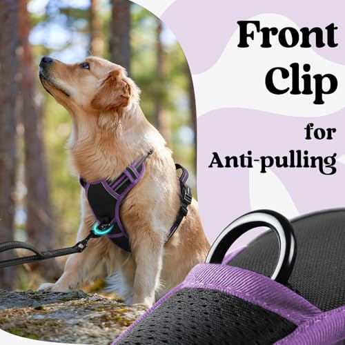 Dog Harness Medium Sized (Medium / Black & Purple)