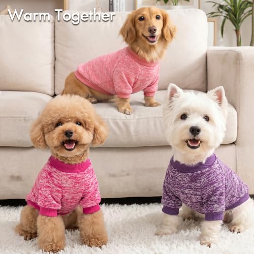 3 Pack Dog Sweaters for Small Dogs Girl Boy Winter Fleece Clothes Warm Soft Dog Sweatshirt Outfit for Dogs Cats Pet Apparel (Pink+Rose+Purple / XXS (Back: 7.8", Chest: 11.8", 2.2-3.5 lbs))