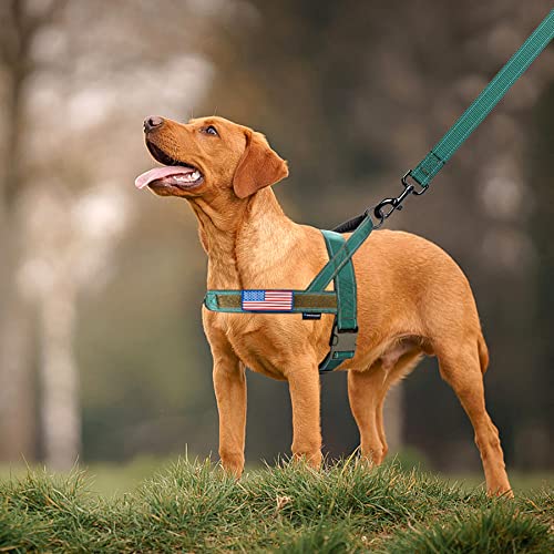 No Pull Dog Harness with Padded Handle+5 Ft Leash (S / Reflective-Green Set)
