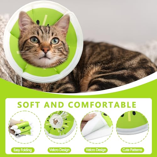 Soft Adjustable Cat Cone Collar (Kiwifruit / Medium)