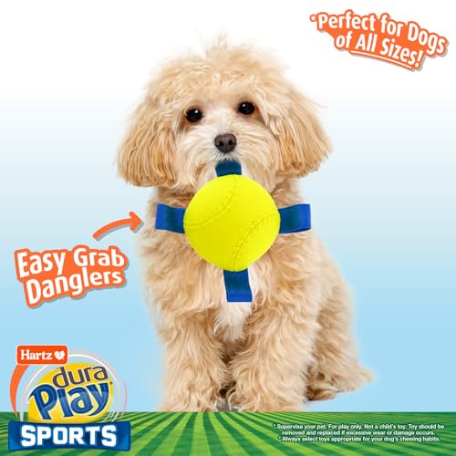 Dura Play Sports Baseball Dog Toy (Baseball / 1 Count)