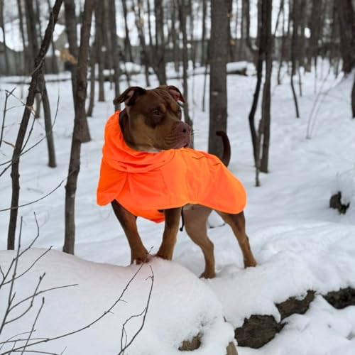 Dog Raincoat Waterproof Rain Jacket w (Orange / X-Large)