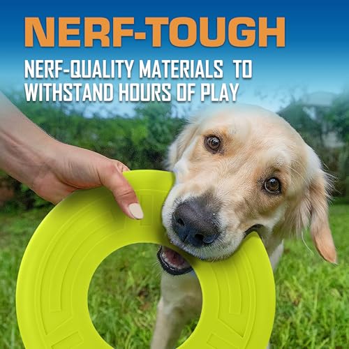 Atomic Flyer Outdoor Dog Toy (Green / 10 Inch)