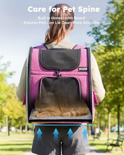 Cat Backpack Extendable (Pink / 12.6"L x 10.2"W x 16.5"H)