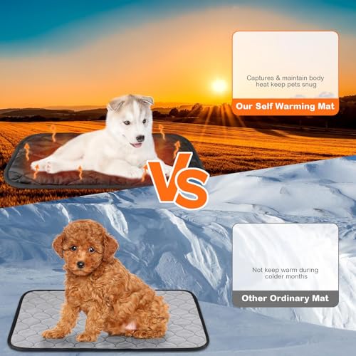 2 Pack Self Heating Cat Mat Self Warming Pet Pads Washable Kennel Mat Dog Crate Pad Reflects Body Heat Non Skid Cat Thermal Pads for Puppy Indoor Outdoor (16 x 20 inches / Black)