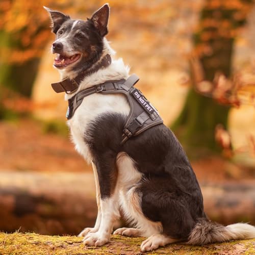 Tactical Dog Harness for Small Dogs (S(Chest:16.1"-31.5",Neck:15.4"-21.6",Back:7.1") / Brown Camo)