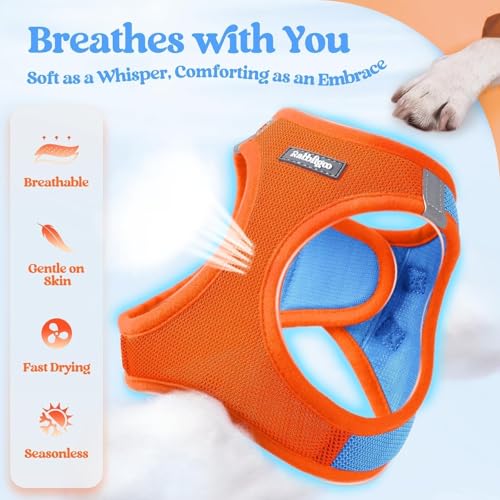Dog Harness Small Sized and Leash Set (Blue & Orange / Xs (chest: 13.3 - 15.5"))
