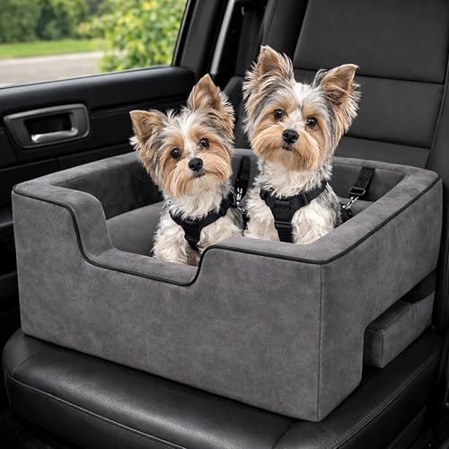 Lookout Booster Car Seat (Light Charcoal / Large - 22 inches)