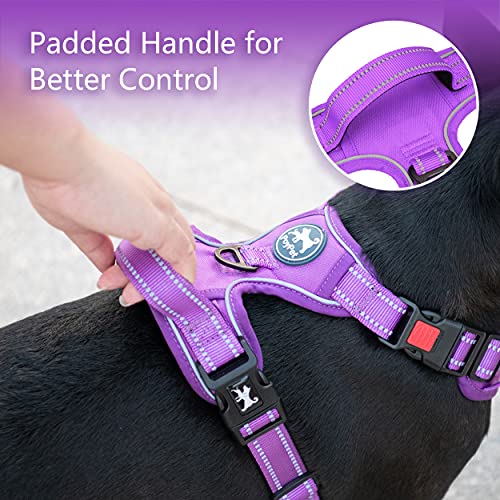 No Pull Dog Harness (Medium / Purple(Matching Trim))