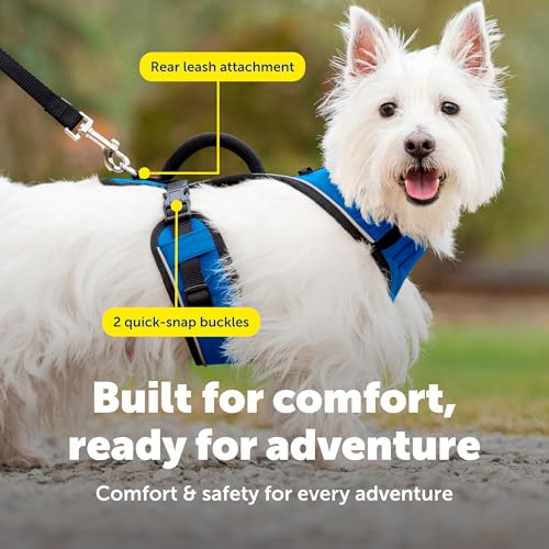 EasySport Dog Harness (Small / Blue)