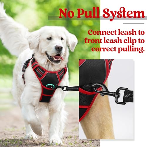 Dog Harness No Pull for Large Dogs with 2 Leash Clips (Large / Black & Red)