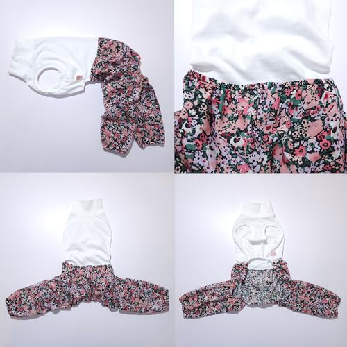 D Doggy Star Italian Greyhound Clothes Mombbe Onesie Outfit Whippet for Dog Coat (S / Mombbe Black)