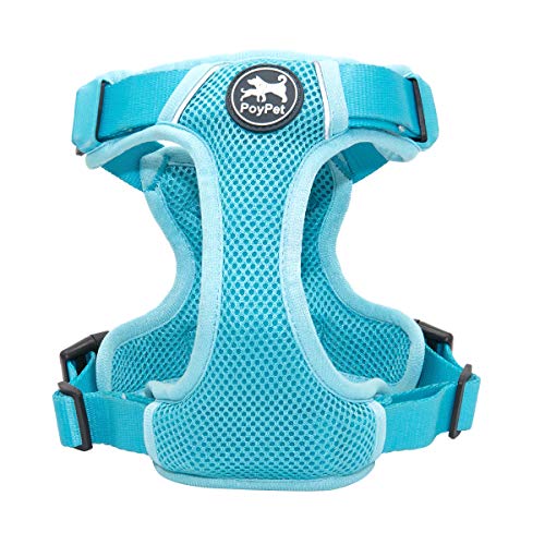 Mesh Dog Harness (L / Blue)