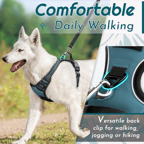 Dog Harness for Large Dogs (Large / Dark Green)