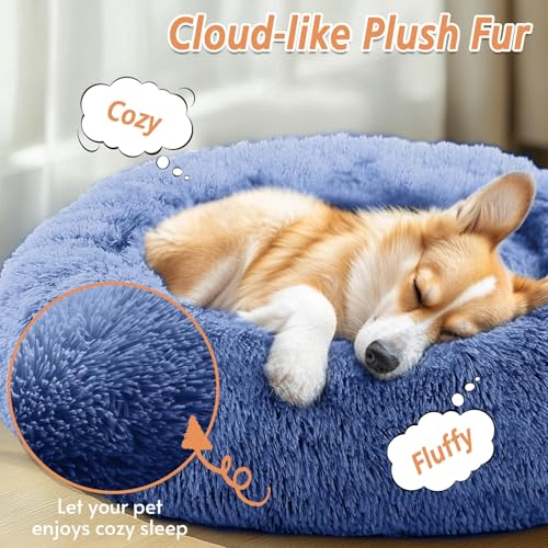 Calming Small Dog & Cat Bed for Indoor Cats (Navy Blue / 20.0"L x 20.0"W x 6.0"Th)