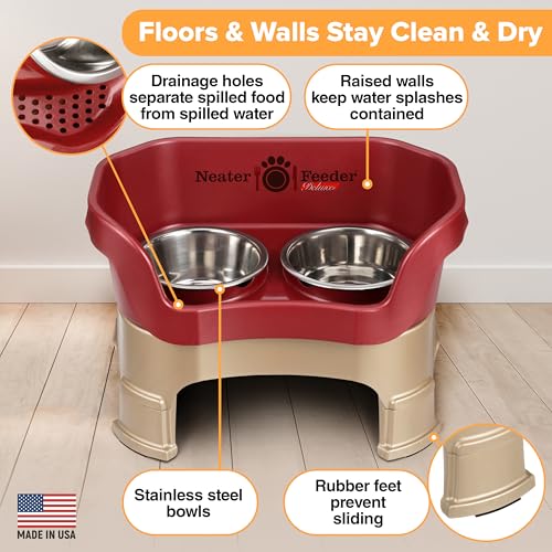 Neater Feeder Deluxe Mess (Medium + Standard Bowl / Cranberry)