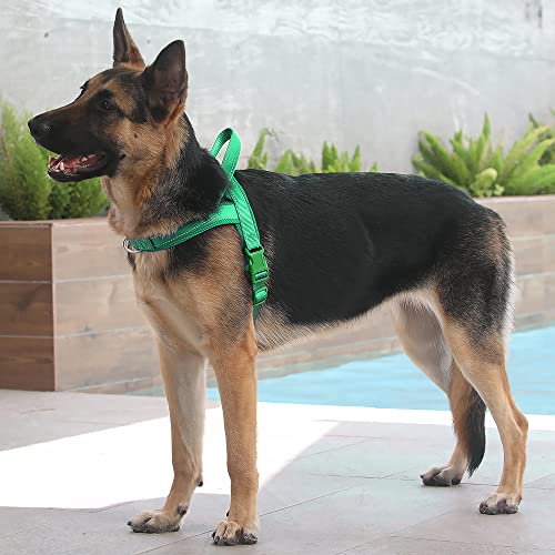 No Pull Dog Harness for Large Dogs (XL: chest 29.5"-39.4" / Green)