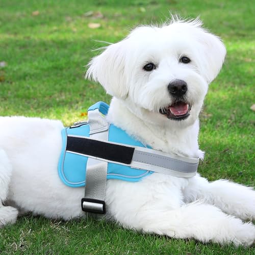 Dog Harness No (X-Large (Pack of 1) / OceanicBlue)