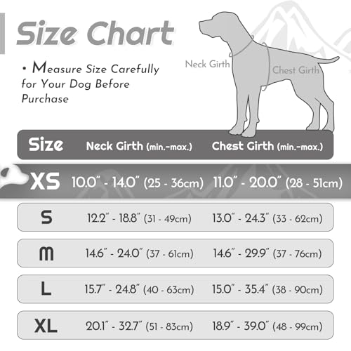 Dog Harness for Small Dogs (X-Small / Grey)