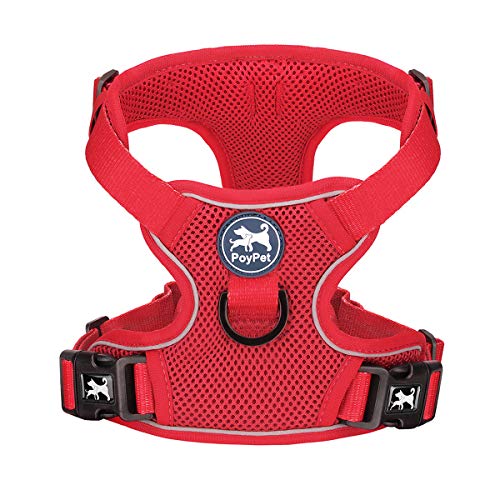 Mesh Dog Harness (S / Red)