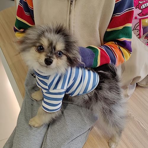 Turtleneck Dog Shirt Cute Doggie Embroidery Super Soft Dog Sweatshirt Stretchy Striped Puppy Pullover for Cats Small Medium Large Dogs (Blue Striped / Medium)