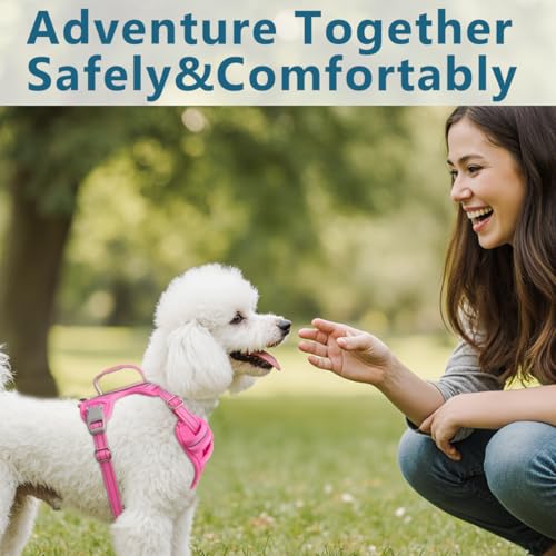 No Pull Dog Harness for Small Sized Dogs (X-Small(Chest:15.5-19.5”) / Pink-Oxford)