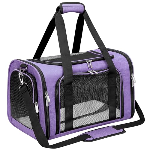 Soft Sided Cat (Purple / 17"L x 11"W x 11"H)