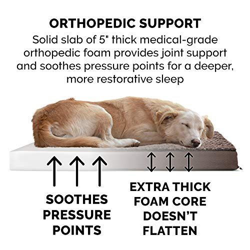 Orthopedic Dog Bed for Large Dogs w (Jumbo Plus / Minky Chocolate)