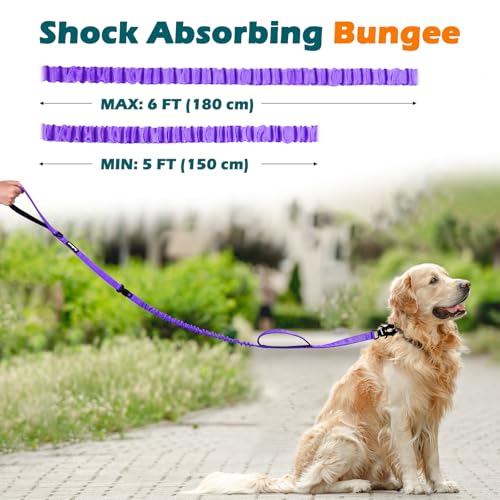 Heavy Duty Tactical Dog Leash (Purple)