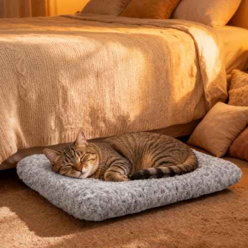 Dog Bed Small Size (Light Grey / 17"L x 14"W x 2"Th)