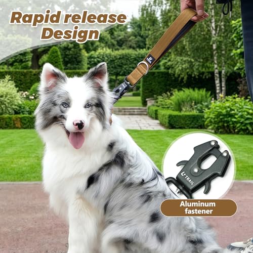 14 Inch Traffic Dog Leash with Padded Handle (Khaki)