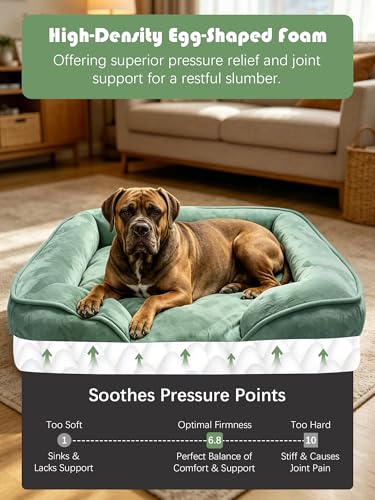 Orthopedic Dog Bed with Sides (53.0"L x 42.0"W x 8.0"Th / Green)