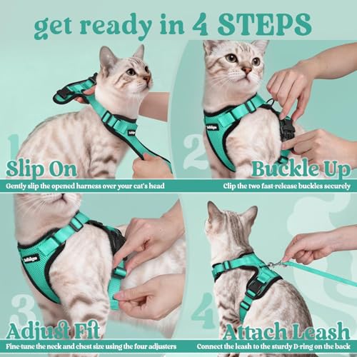 Cat Harness and Leash Set (S / Emerald)