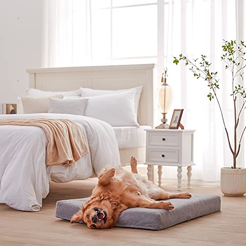 Orthopedic Extra Large Dog Bed for Large Dogs (Light Grey / XX-Large-47"x 29" x 3.5")