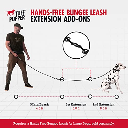 Hands Free Bungee Dog Leash