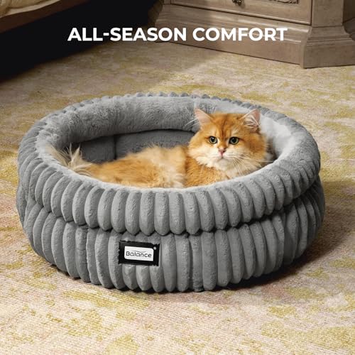 Cat Bed Kitten Bed (20.0"L x 20.0"W x 8"Th / Grey)