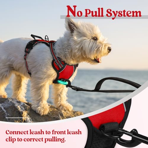 Dog Harness No Pull for Small Dogs with 2 Leash Clips (X-Small / Red)