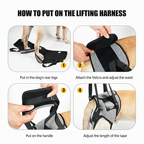 Dog Lift Harness for Dogs (Large / Grey)