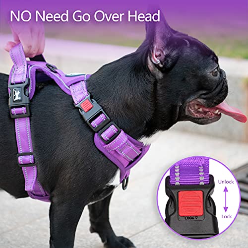 No Pull Dog Harness (XS / Purple(Matching Trim))