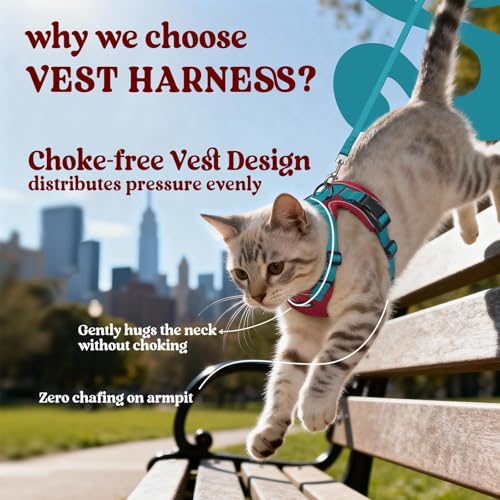 Cat Harness and Leash Set (M / Red & Teal)