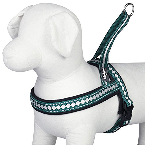 6 Colors Soft & Comfy Jacquard Padded Dog Harness (Large(25.5" - 31.5") Chest Girth / Teal Blue)
