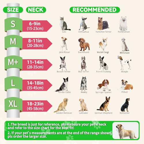 Upgraded Inflatable Dog Cone Collar to Stop Licking (L (Neck: 14-18") / Watermelon)