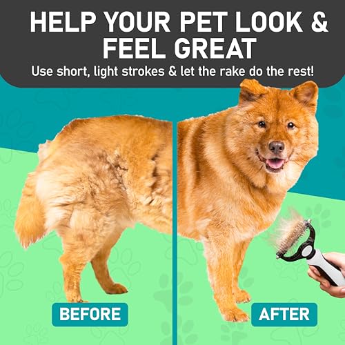 Pet Grooming Brush (White / Large)