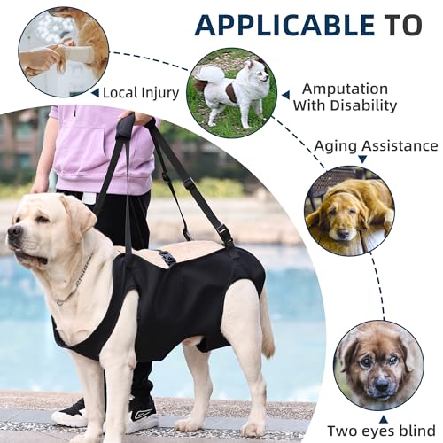 Dog Lift Harness (S)