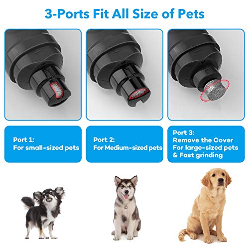 Dog Nail Grinder with 2 LED Light (C-Grey)