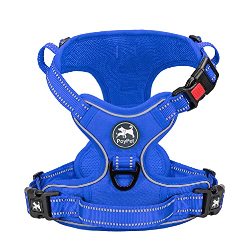 No Pull Dog Harness (Large / Royal Blue)