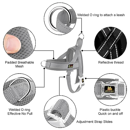 No Pull Dog Harness for Small Dogs (S: chest 17"-19.7" / Gray)